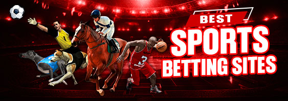 Sportsbook